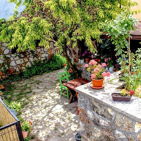 Bohemian Spirit, Vama Veche Exterior foto