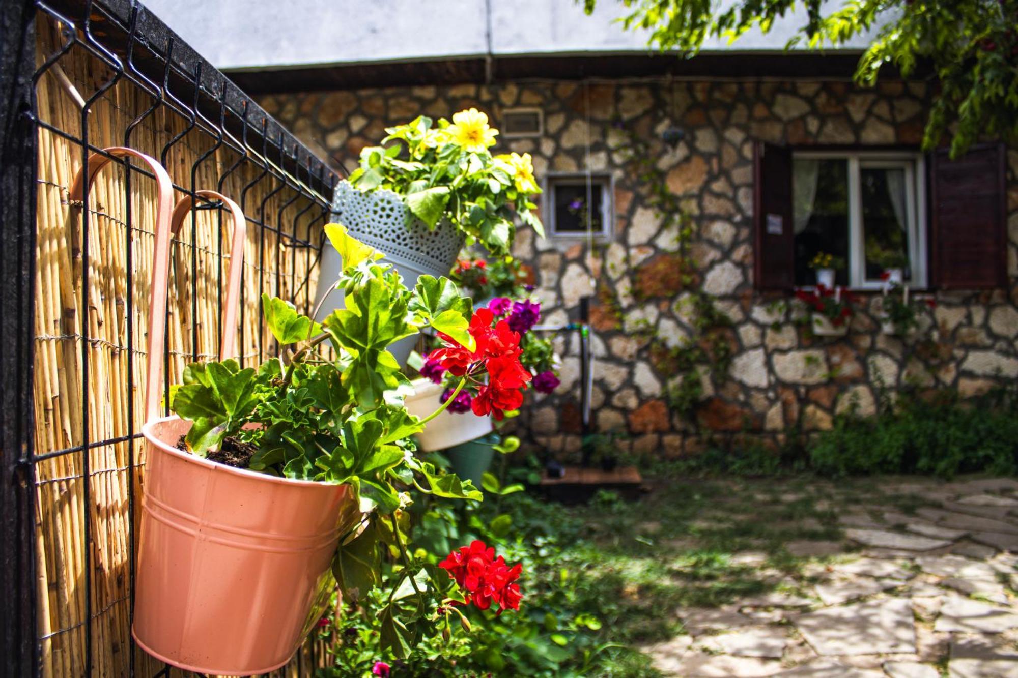 Bohemian Spirit, Vama Veche Exterior foto